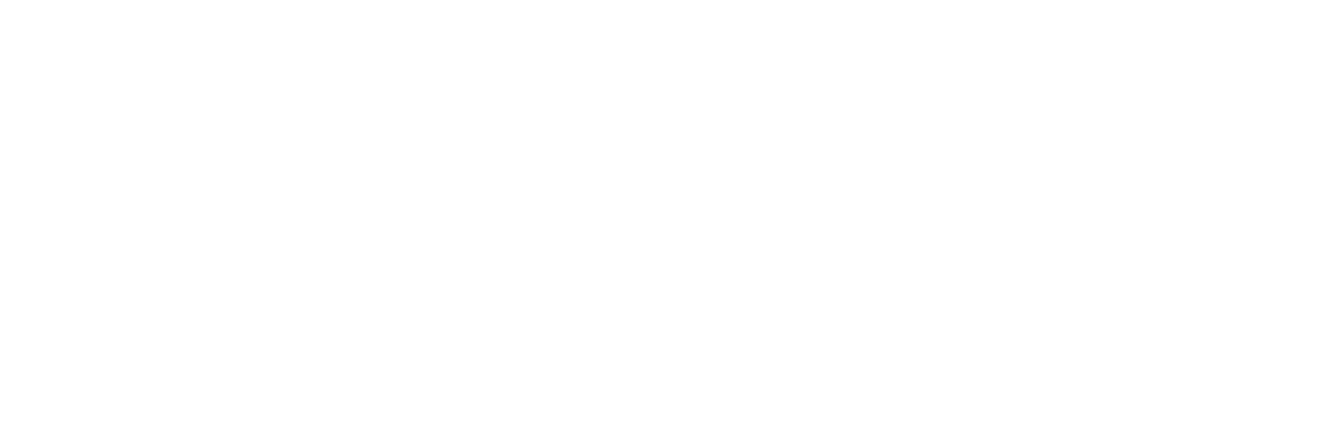 Die führende Business Community für Entscheider | Premium Leaders Club Premium Leaders Club logo white